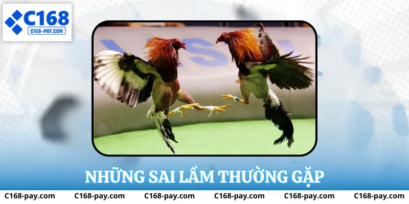 Đá Gà Cựa Sắt Tại C168 – Trải Nghiệm Thực Tế Và Phân Tích 4 Những sai lầm thường gặp